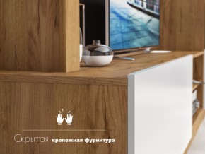 Гостиная Флекс в Копейске - kopejsk.mebel74.com | фото 4