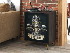 Комод КМ-001 Фьюжн АРТ камень угольный-biker cat в Копейске - kopejsk.mebel74.com | фото 2