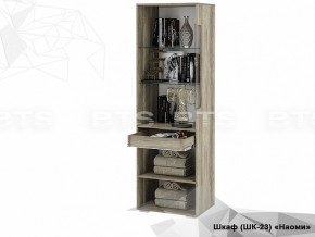 Пенал витрина Наоми ШК-23 в Копейске - kopejsk.mebel74.com | фото 2