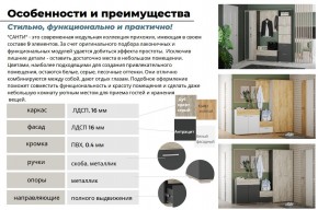 Прихожая Санти Антрацит в Копейске - kopejsk.mebel74.com | фото 5