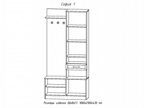 Прихожая София 1 в Копейске - kopejsk.mebel74.com | фото 2