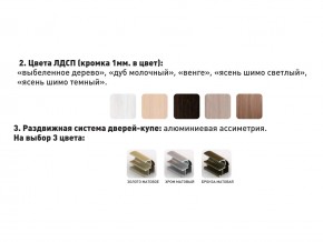 Шкаф-купе Акцент-Сим Д 1200-600 беленое дерево в Копейске - kopejsk.mebel74.com | фото 3