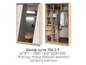 шкаф-купе ПШ-2.9 1500 Норд Белый жемчуг 1500 в Копейске - kopejsk.mebel74.com | фото