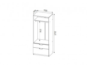 Шкаф с 2-мя ящиками ЛДСП Фаворит в Копейске - kopejsk.mebel74.com | фото 2