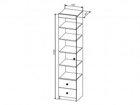 Шкаф Сканди ШД450.1 в Копейске - kopejsk.mebel74.com | фото 2