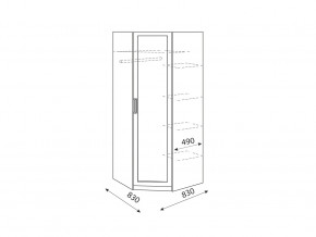 Шкаф угловой Дуглас модуль 1 в Копейске - kopejsk.mebel74.com | фото 2